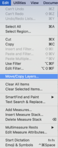 move and copy layers in learning finale